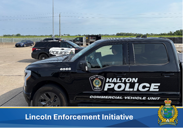 Vehicles at Vineland inspection station