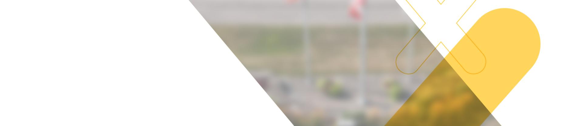 Background graphic for the Town of Lincoln's Candidate 101 Information Night event.