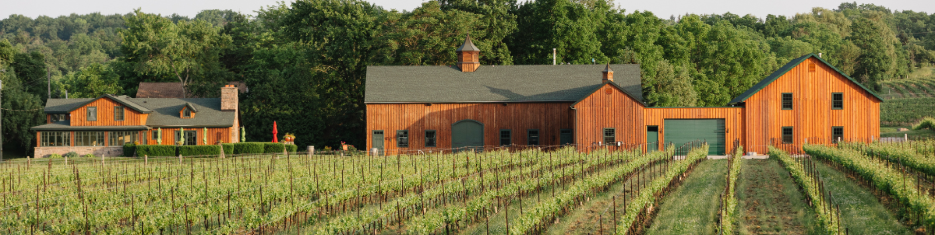 Hidden Bench Winery Panorama