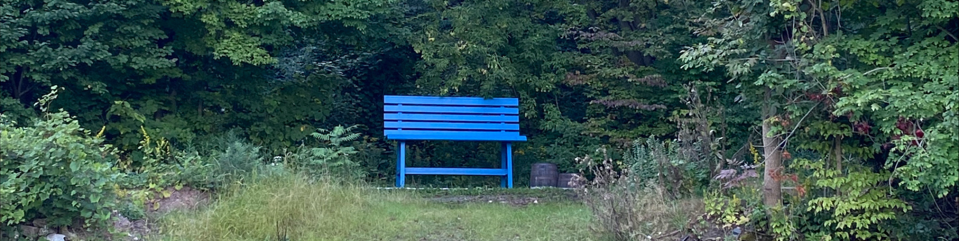Big Bench at Cave Springs