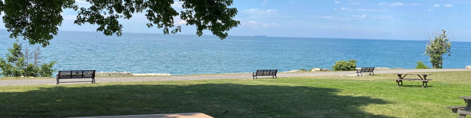 Charles Daley Park view of lake with picnic table