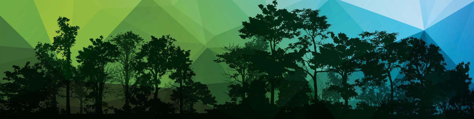 Rooted in Lincoln webpage banner