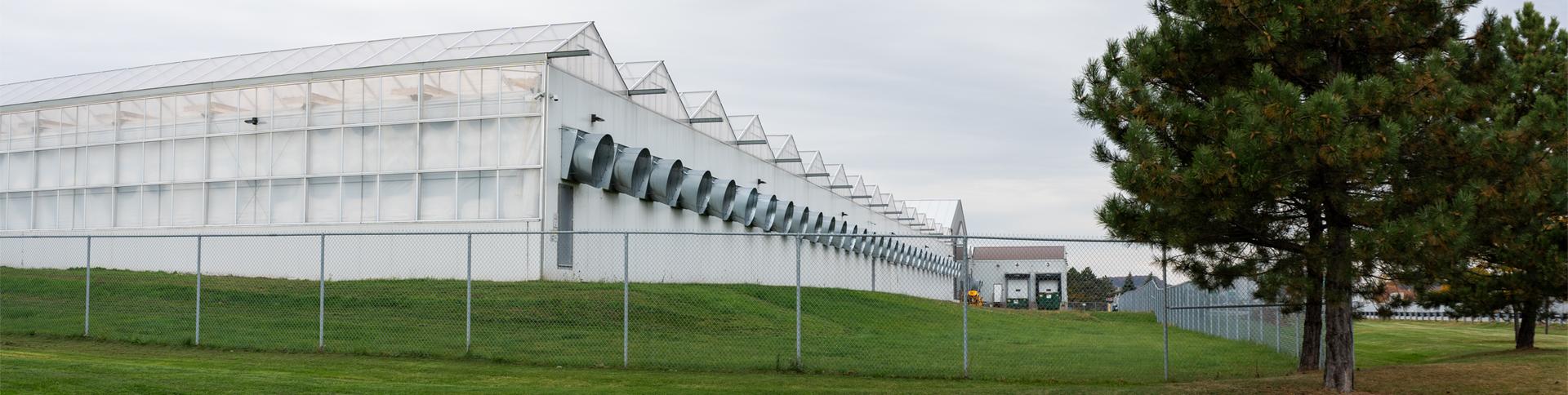 Exterior shot of cannabis facility