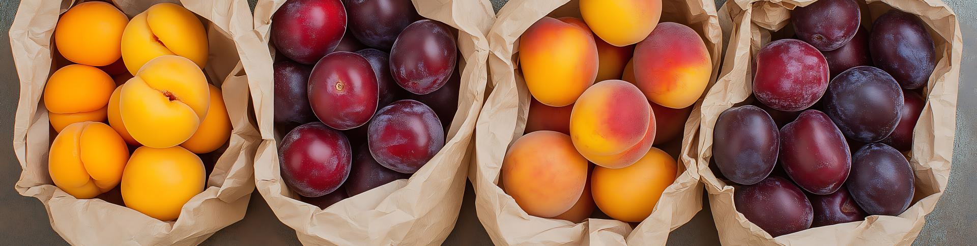 Overhead view of various fruits in bags.