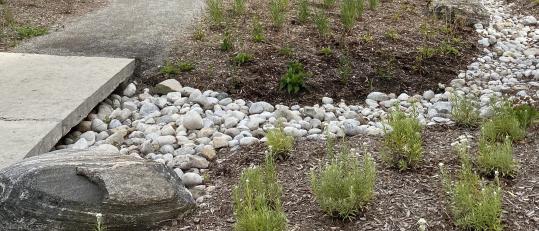 Closeup of Val Fleming butterfly garden at Rotary Park 