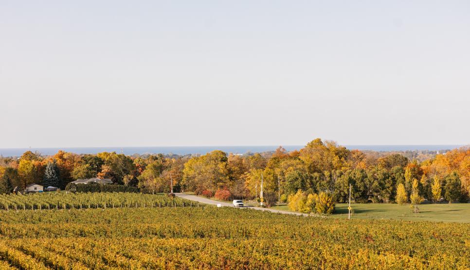 Lincoln farm in fall 