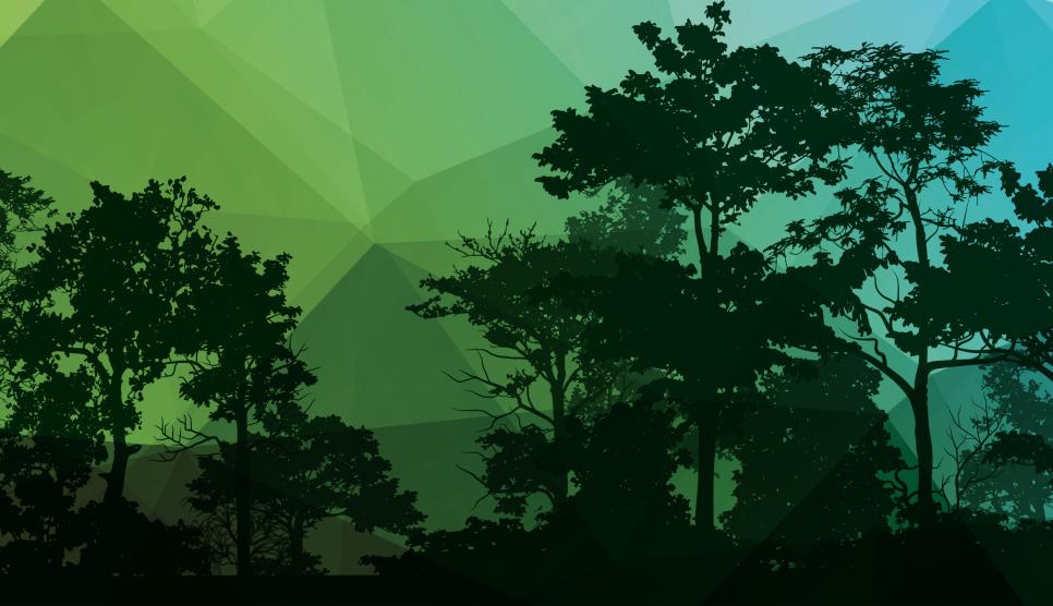 Rooted in Lincoln webpage banner