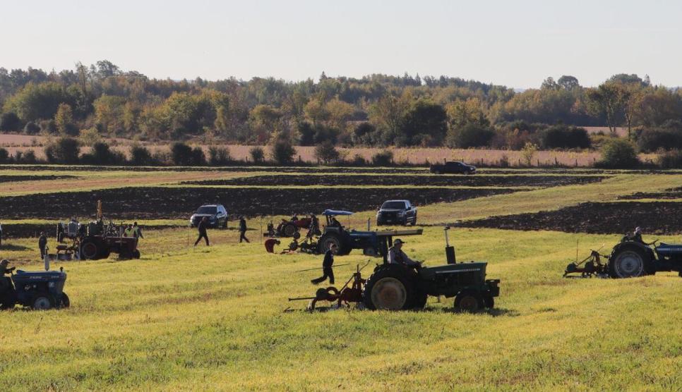 Tractors scattered in a grassy field.
