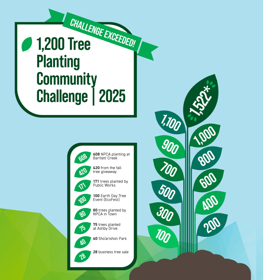 A plant growing to represent Lincoln hitting it's tree planting challenge