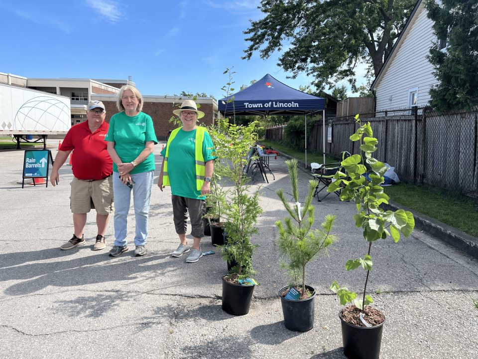 rotarians and some trees