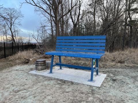Big Blue Bench with trees in background