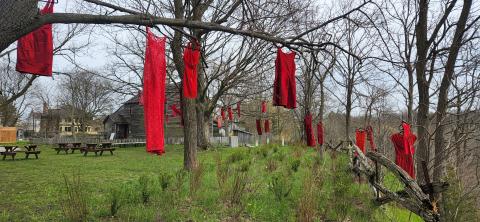 Red dresses hanging in trees in recognition of Red Dress Day
